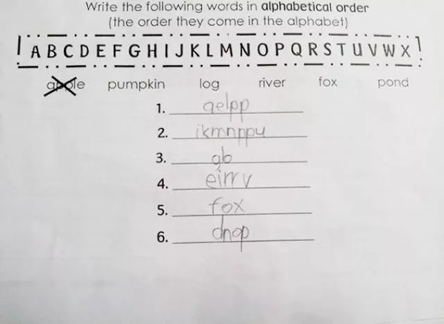 Follow instructions to the letter to avoid disaster - #11 