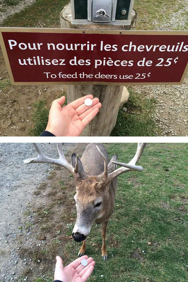 Follow instructions to the letter to avoid disaster - #24 