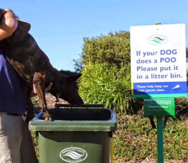 Follow instructions to the letter to avoid disaster - #7 