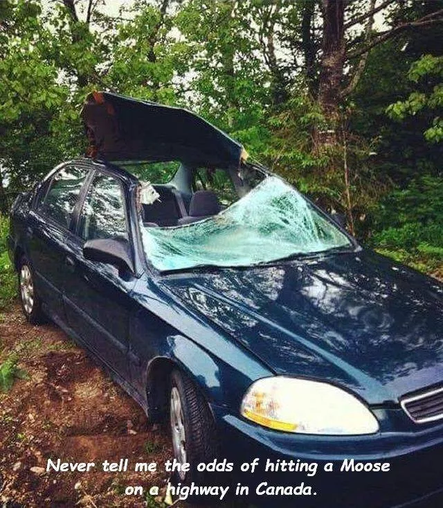 The most terrible moments ever captured - #36 