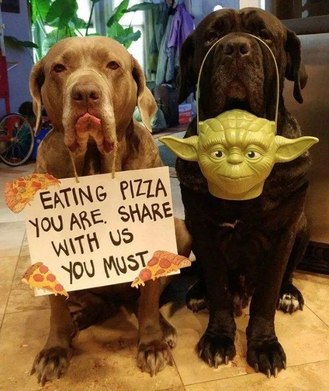 Picdump 404 - #30 