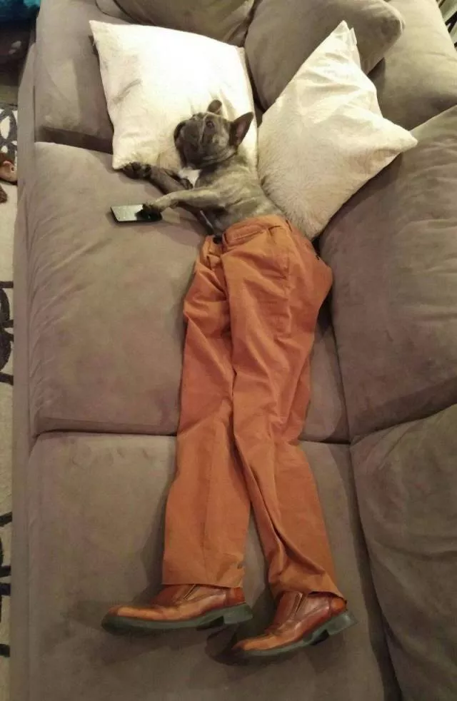 Picdump 404 - #66 Picdump 404 - #66