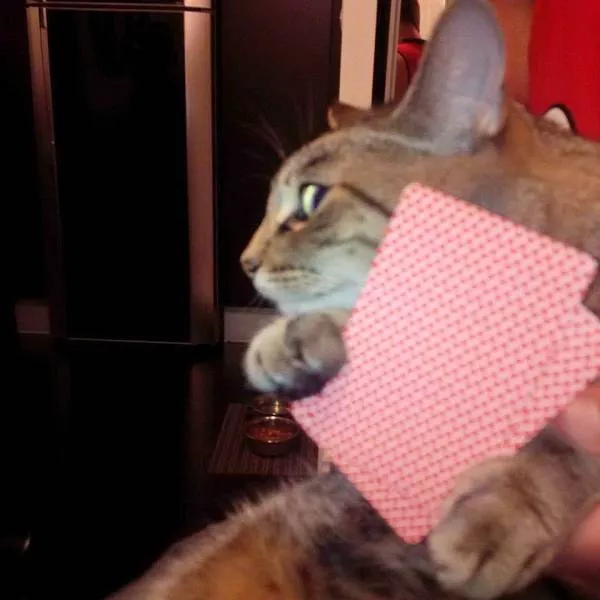 Picdump 404 - #96 