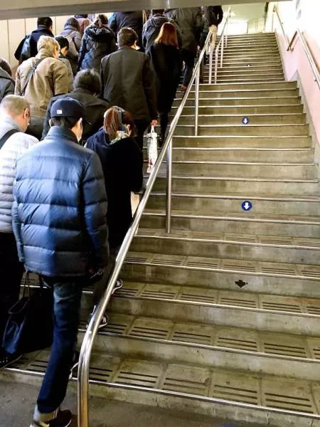 Cest pourquoi le japon reste toujours fantastique