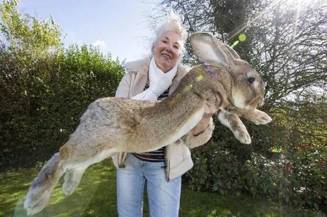 Picdump 406 - #17 