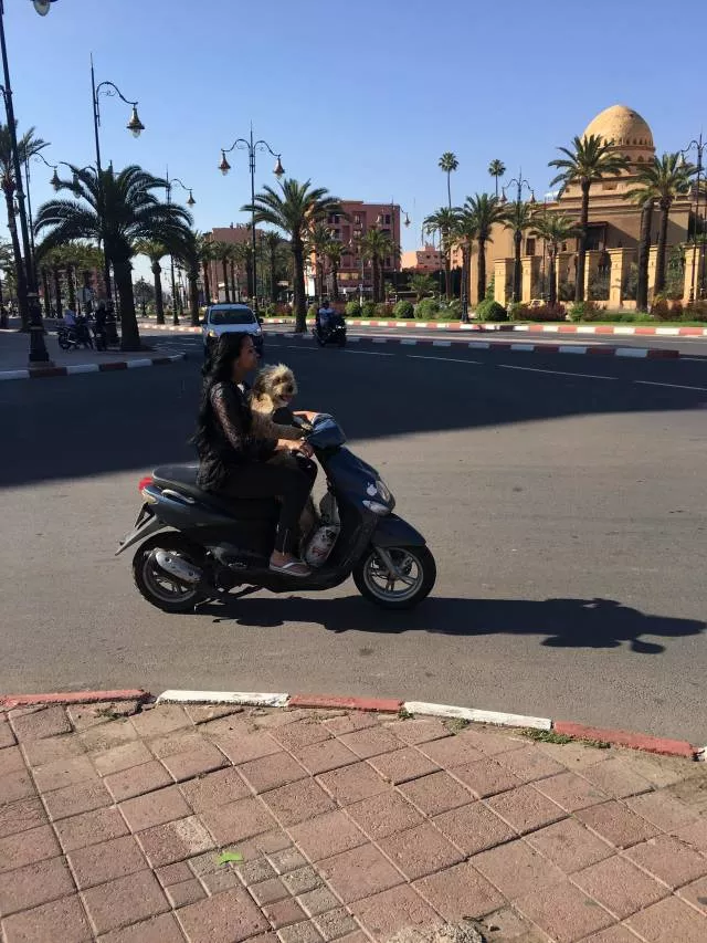 Picdump 406 - #29 