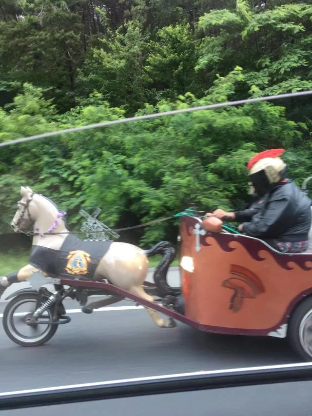 Picdump 406 - #34 