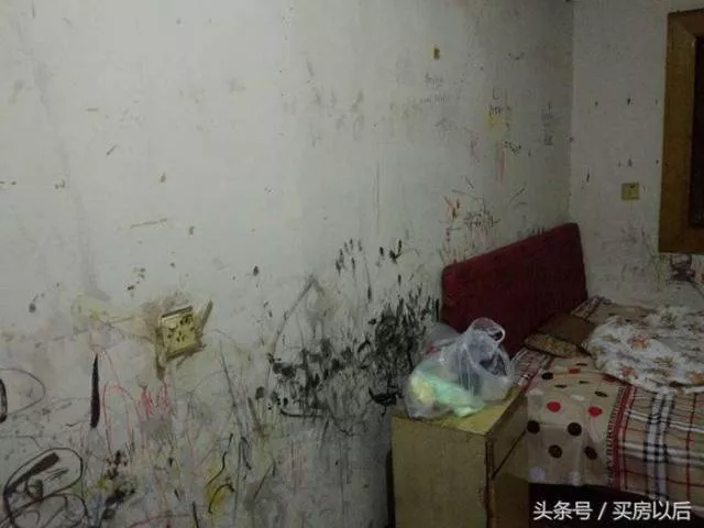 Total renovation - #2 