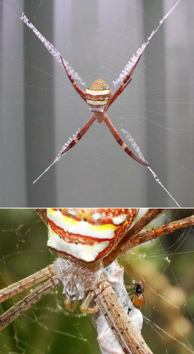 Des photos impressionnantes a partager - #19 