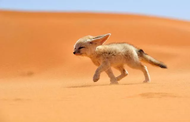 Des photos impressionnantes a partager - #22 