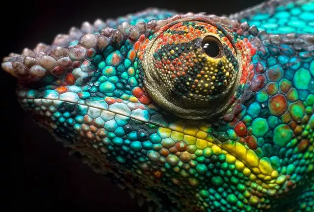 Des photos impressionnantes a partager - #3 