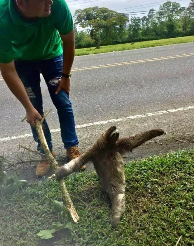 Picdump 407 - #100 