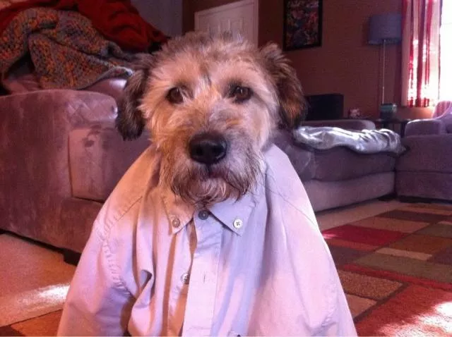 Picdump 407 - #7 