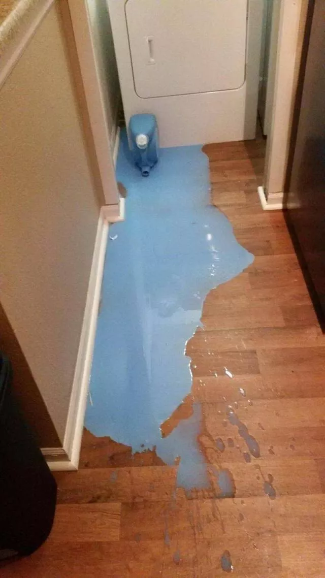 Picdump 407 - #99 