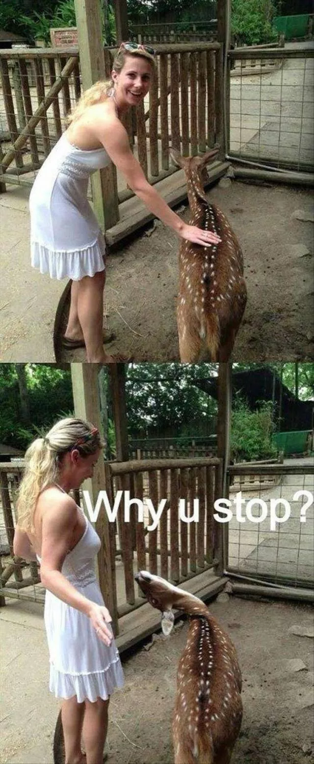 Picdump 408 - #27 
