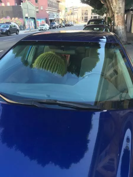 Picdump 409 - #15 