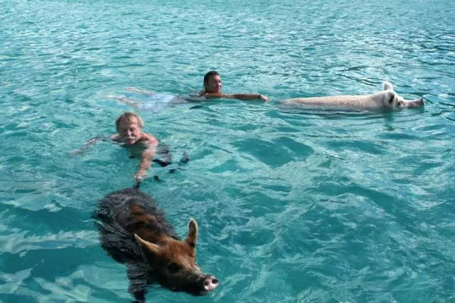 Picdump 410 - #59 