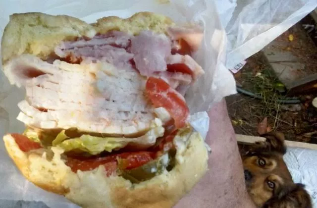 Picdump 410 - #70 