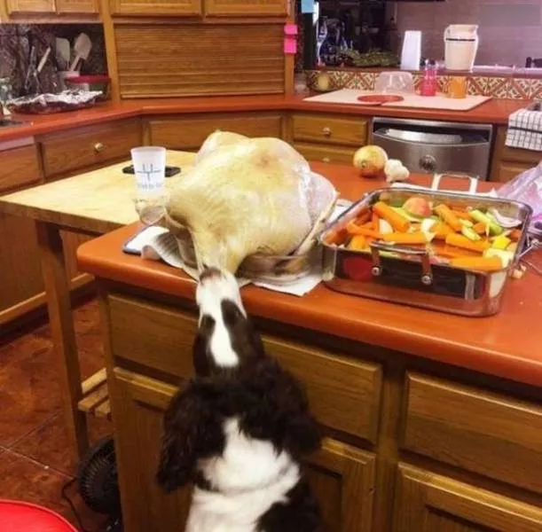 Picdump 410 - #75 