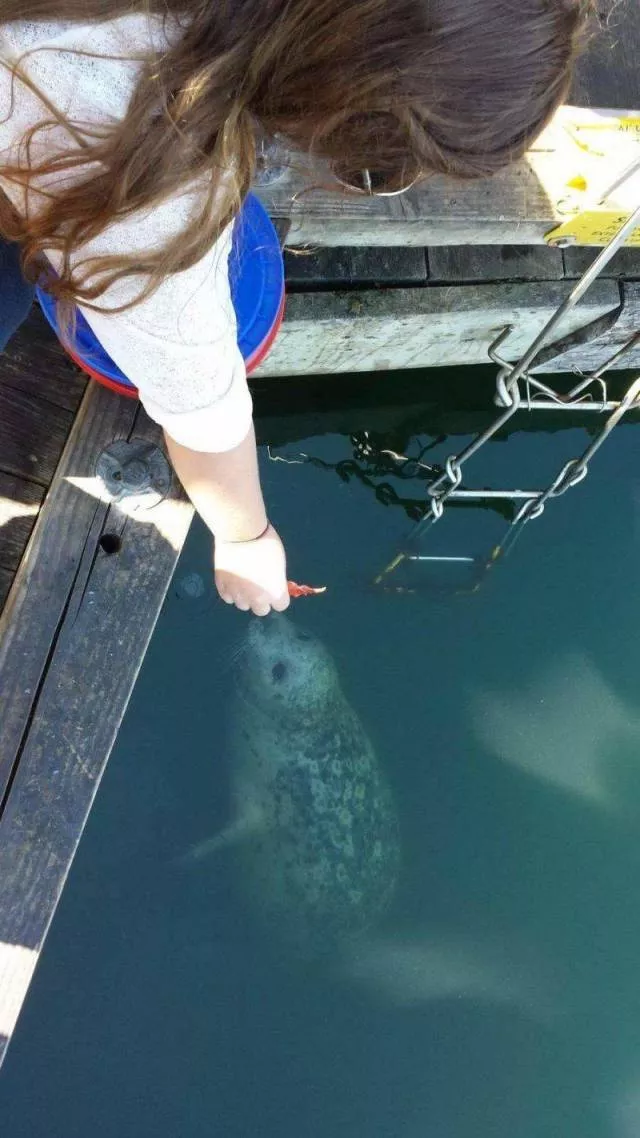 Picdump 410 - #77 