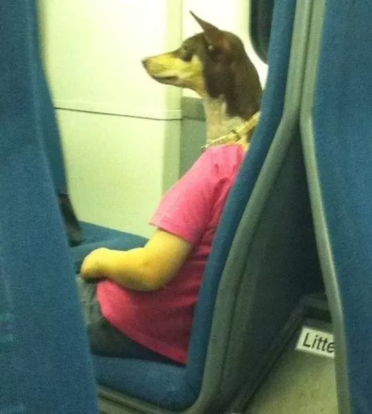 A double look is necessary to understand these photos - #18 