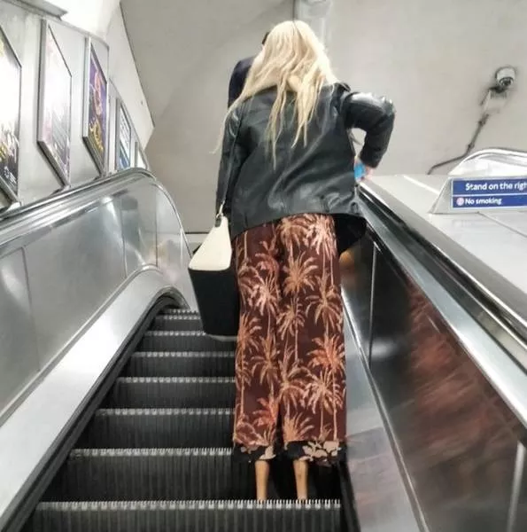 A double look is necessary to understand these photos - #38 