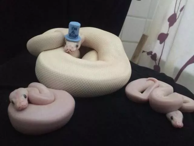 Picdump 412 - #12 