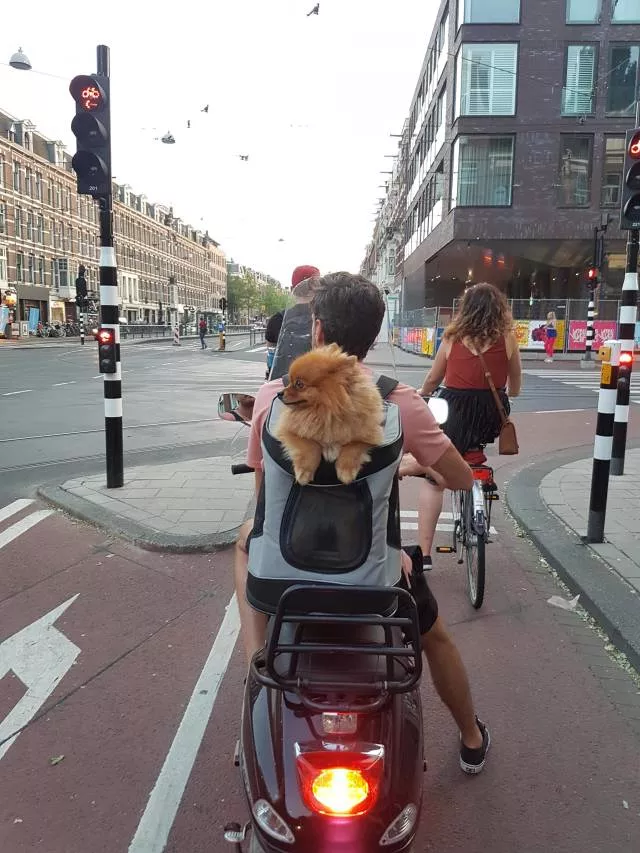 Picdump 412 - #38 