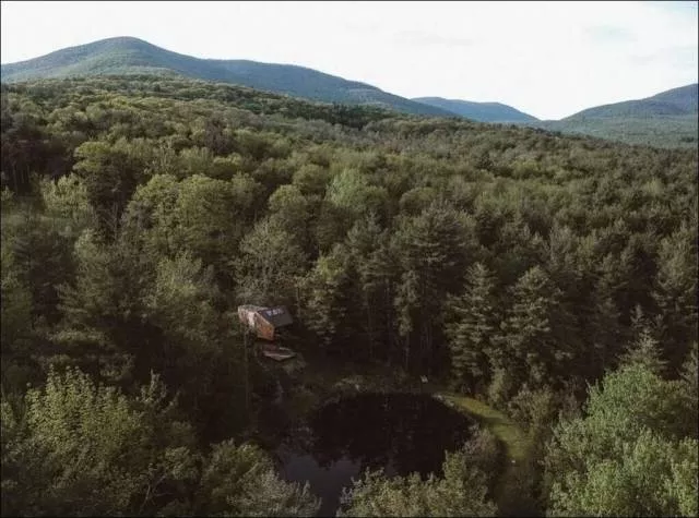 Willow treehouse - #1 