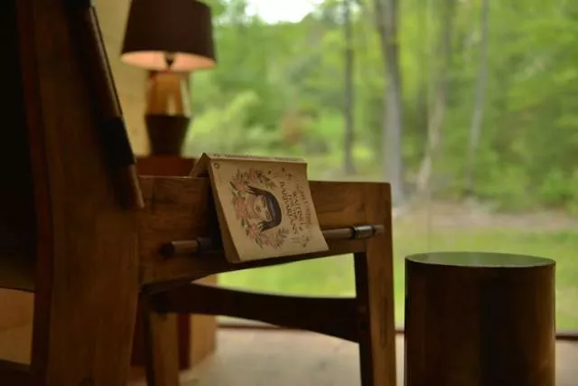 Willow treehouse - #17 