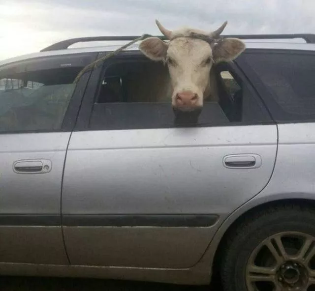 The craziest transporters of all time - #17 