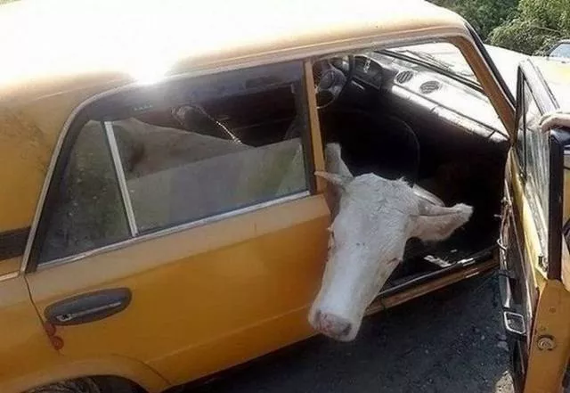 The craziest transporters of all time - #4 