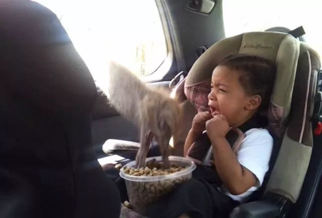 Quand le fail fait mal mais fait rire - #53 