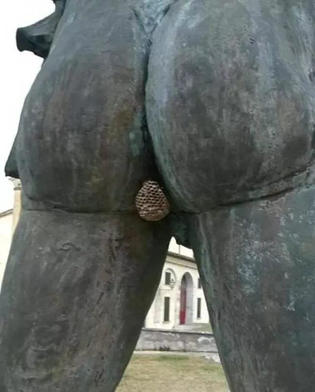 Picdump 423 - #19 