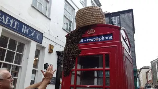 Picdump 423 - #23 