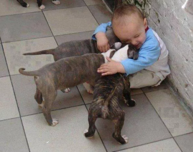 Picdump 423 - #24 