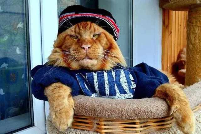 Picdump 423 - #47 