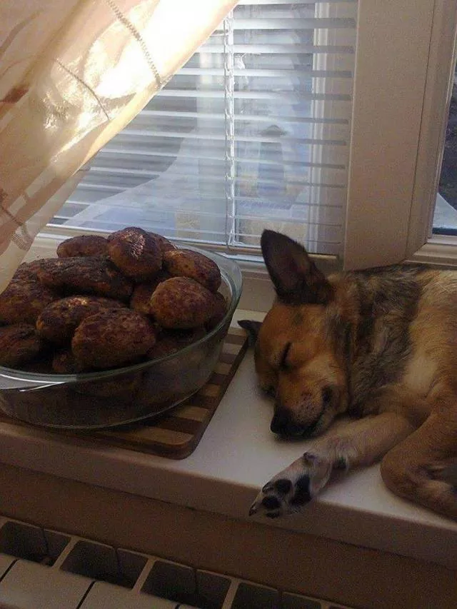 Picdump 423 - #50 