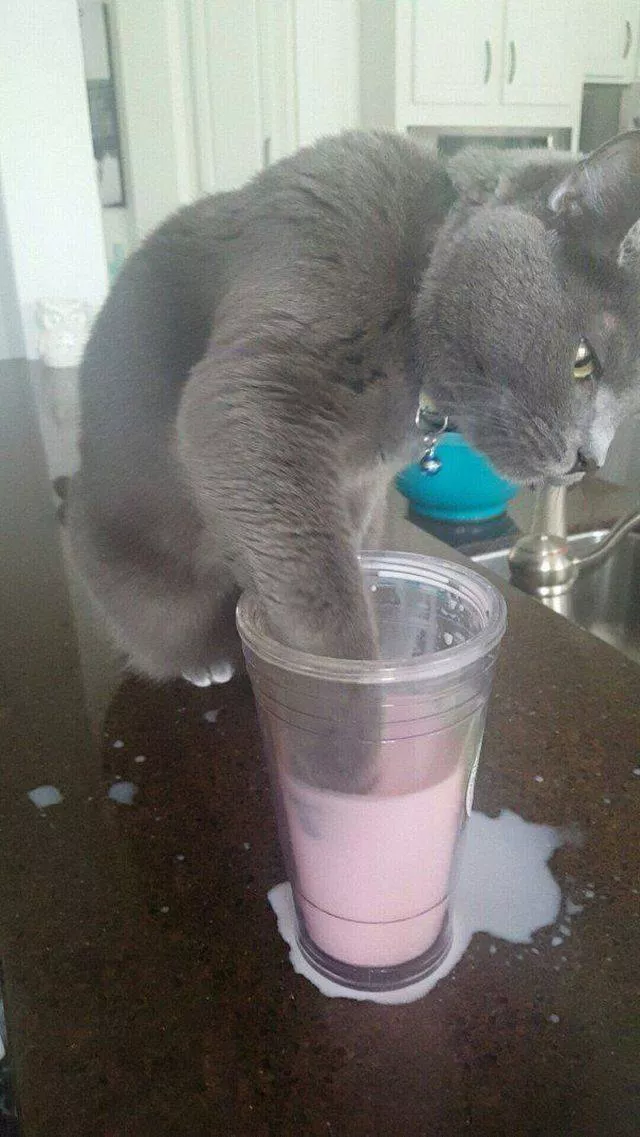 Picdump 423 - #51 