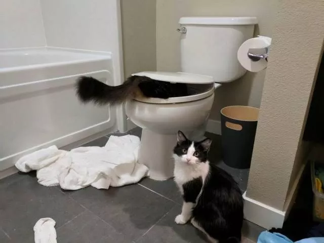 Picdump 423 - #53 