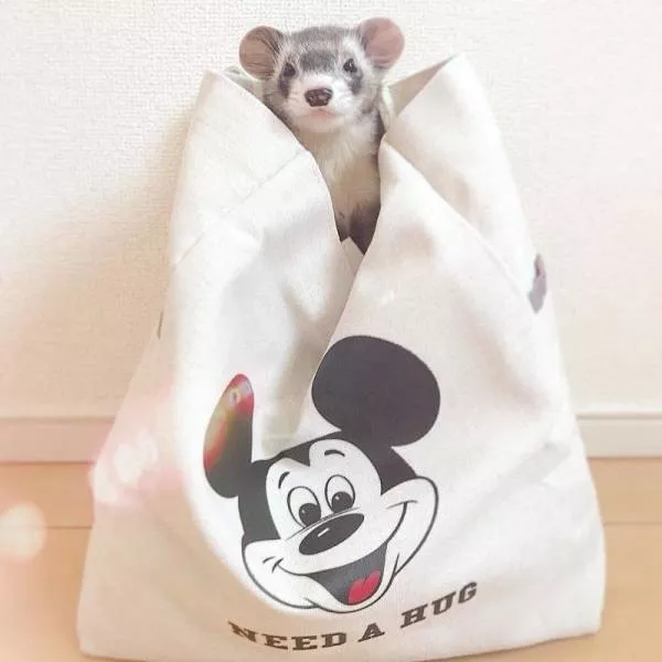 Picdump 423 - #83 