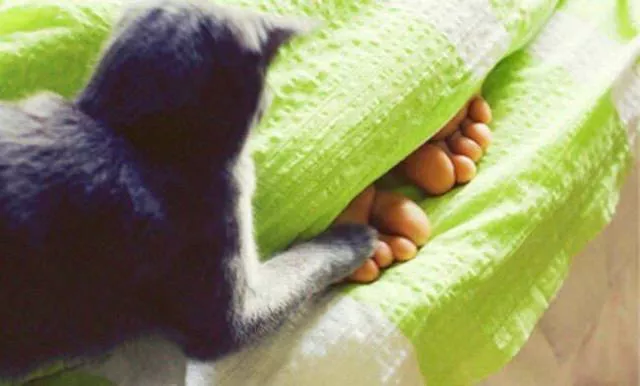 Picdump 423 - #96 