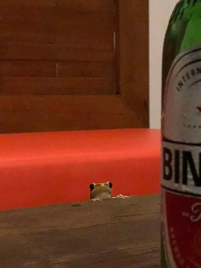 Picdump 423 - #97 