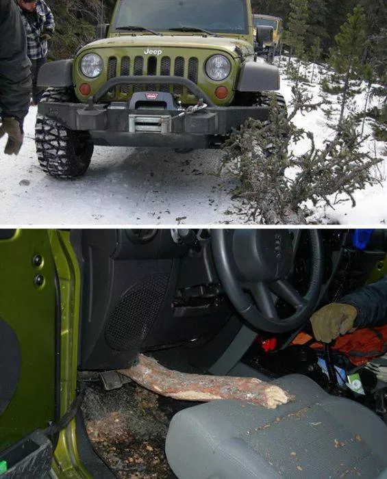 Situations that almost ended in disaster - #30 