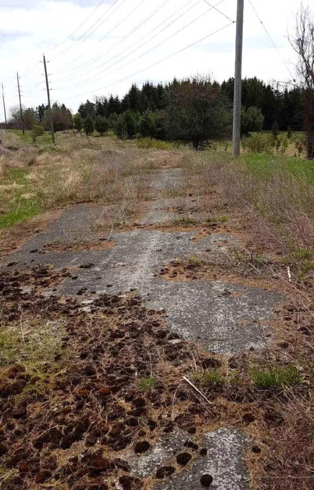 Incredible finds discovered by accident - #12 