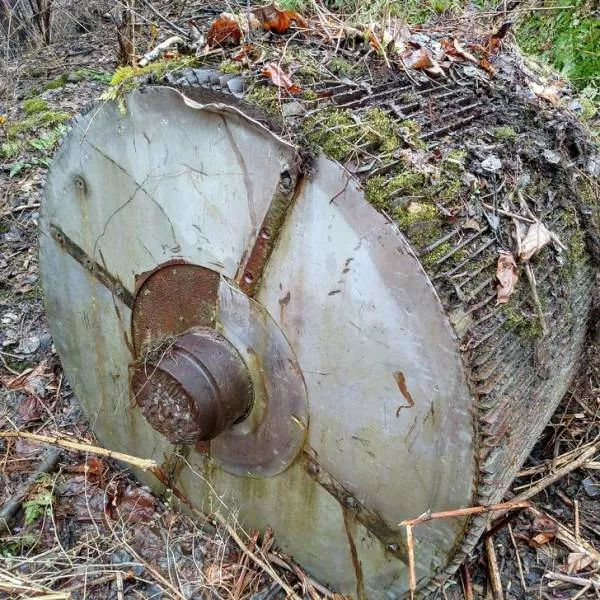 Incredible finds discovered by accident - #23 