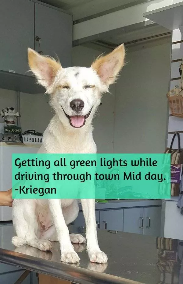Moments of pure joy to share - #11 