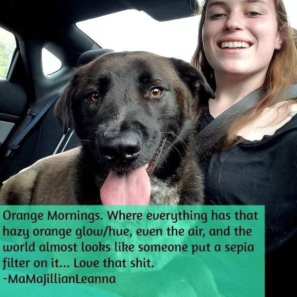 Moments of pure joy to share - #6 