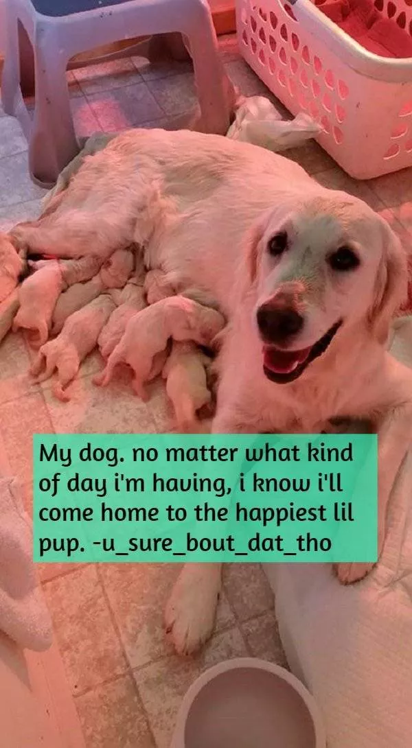 Moments of pure joy to share - #8 