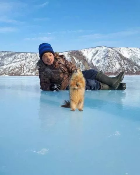 Animaux mignons et hilarants captures en photo - #16 